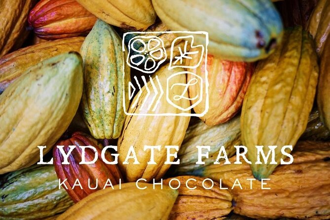 Kauai Chocolate Farm Tasting Tour - A three-hour walk through tropical crops