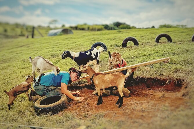 Kauai Private Baby Farm Animal Experience & Micro Dairy Immersion - Key points to know before booking