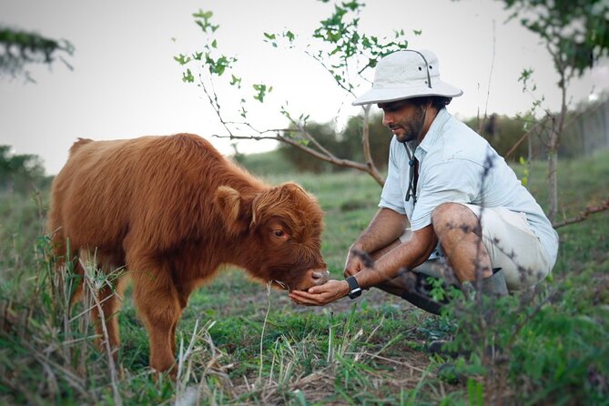 Kauai Private Baby Farm Animal Experience & Micro Dairy Immersion - What happens with the goats, sheep, and lambs