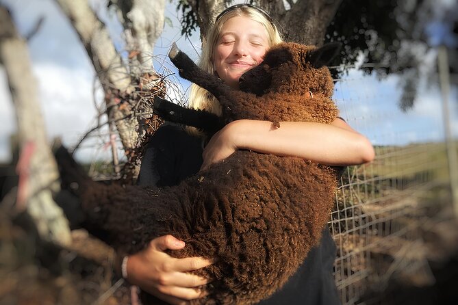 Kauai Private Baby Farm Animal Experience & Micro Dairy Immersion - A working farm that is still taking shape