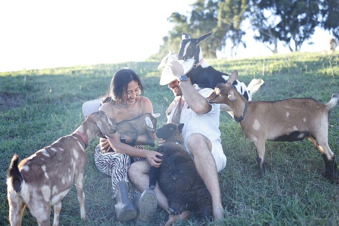 Kauai Private Baby Farm Animal Experience & Micro Dairy Immersion - Why the private format matters
