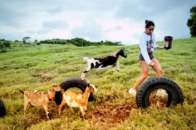 Kauai Private Baby Farm Animal Experience & Micro Dairy Immersion - Milking, fresh milk, and the micro dairy lesson