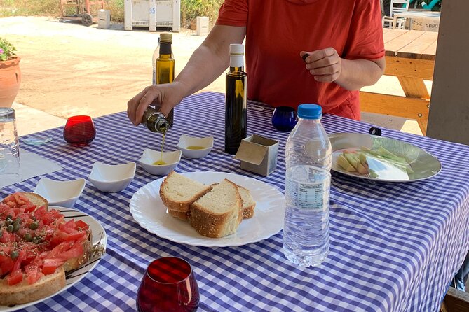 Kefalonia Farm Tour on E-Bikes - The ride back over the hill