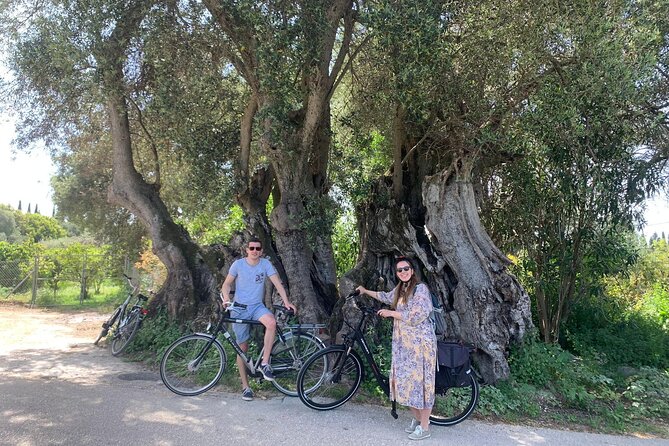 Kefalonia Farm Tour on E-Bikes - Riding south through olive groves and old vineyards