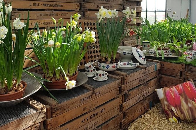 Keukenhof Skip-the-line Tickets: Countryside & Farm Private Tour - Lisse flower fields, where timing matters