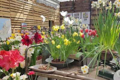 Keukenhof Skip-the-line Tickets: Countryside & Farm Private Tour