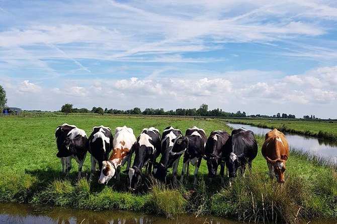 Keukenhof Skip-the-line Tickets: Countryside & Farm Private Tour - Cheese tasting at Jacobs Hoeve