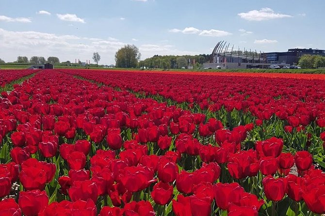 Keukenhof Skip-the-line Tickets: Countryside & Farm Private Tour - Volendam harbor and a possible lunch stop