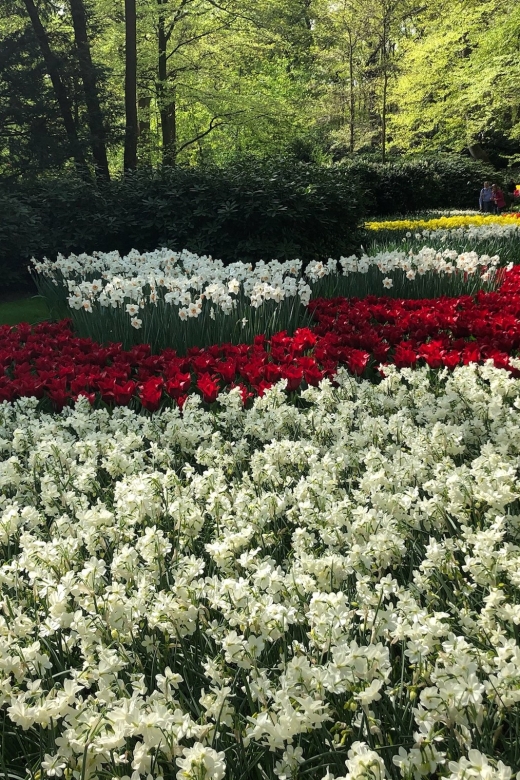 Keukenhof, Tulip Farm, Flower Fields & Windmills - Keukenhof: flowers on a grand scale