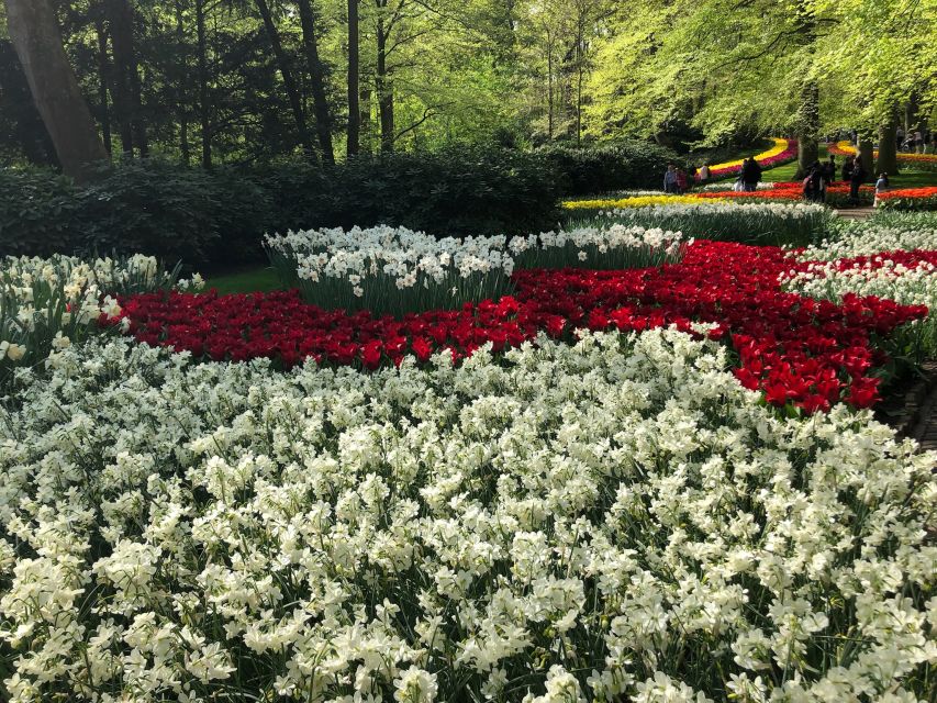 Keukenhof, Tulip Farm, Flower Fields & Windmills - The Beemster drive and one authentic windmill