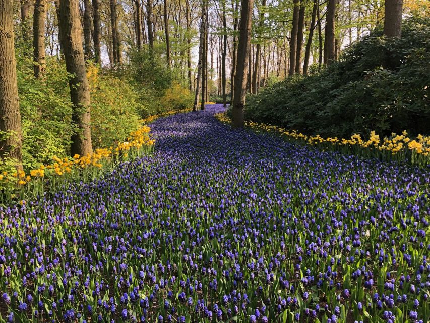 Keukenhof, Tulip Farm, Flower Fields & Windmills - What the private vehicle changes