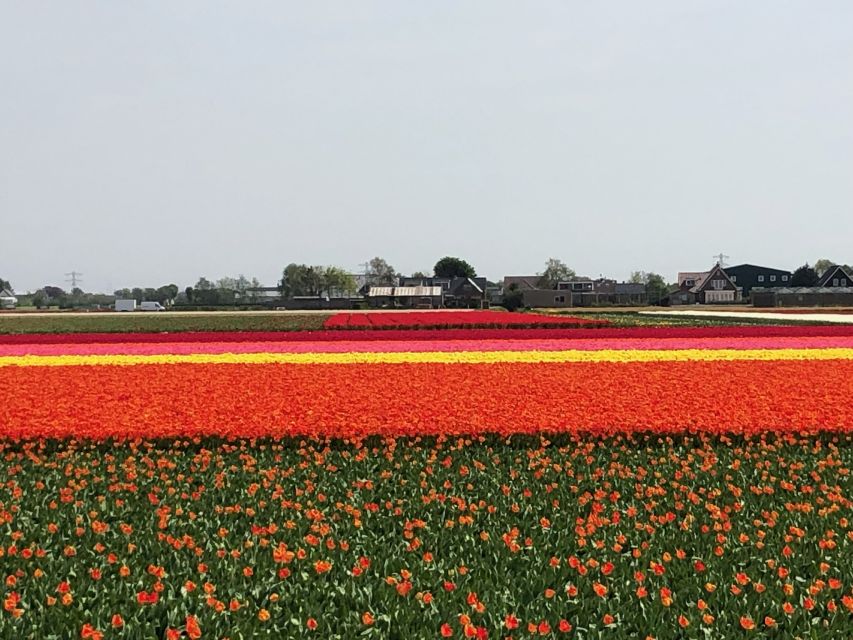 Keukenhof, Tulip Farm, Flower Fields & Windmills - Is $347 per person a fair price?
