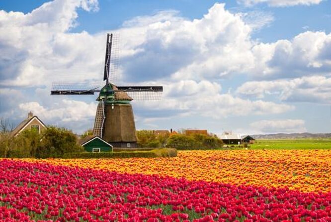 Keukenhof, Tulip Farm, Flower Fields & Zaanse Schans Windmills - Key Points at a Glance