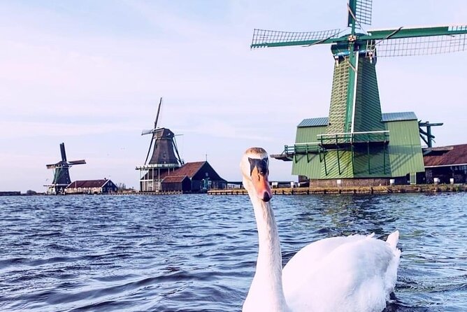 Keukenhof, Tulip Farm, Flower Fields & Zaanse Schans Windmills - Is $349.13 Per Person Good Value?