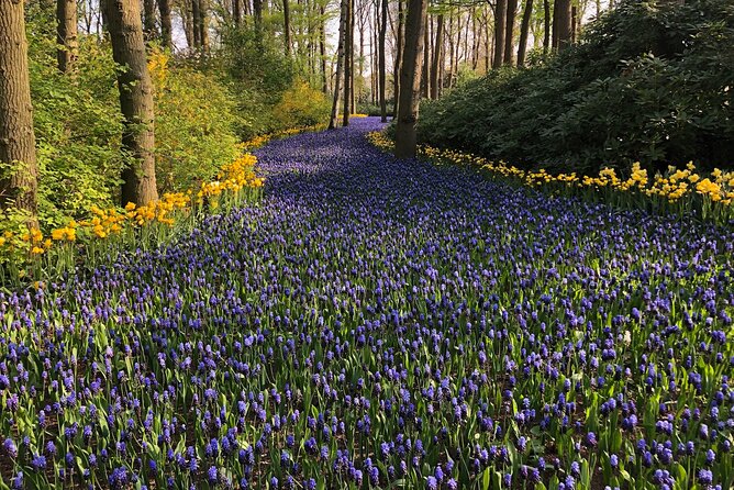 Keukenhof, Tulip Farm, Flower Fields & Zaanse Schans Windmills - From Amsterdam to Keukenhof