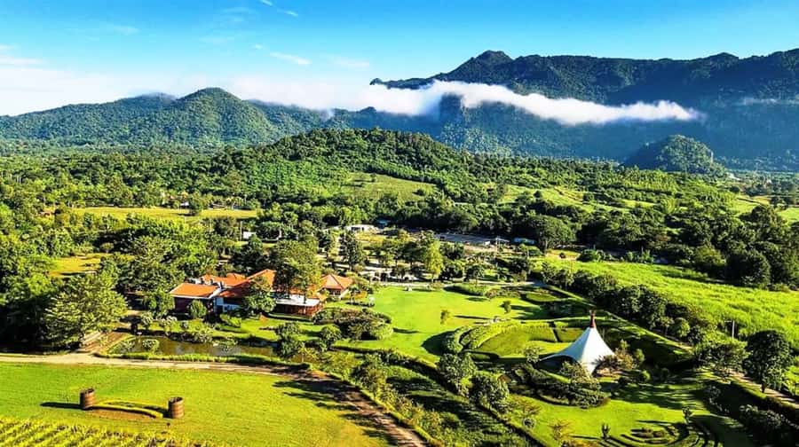 Khao Yai Vineyard Tasting Tour & Horse Farm Visit - A long day from Bangkok with two very different stops