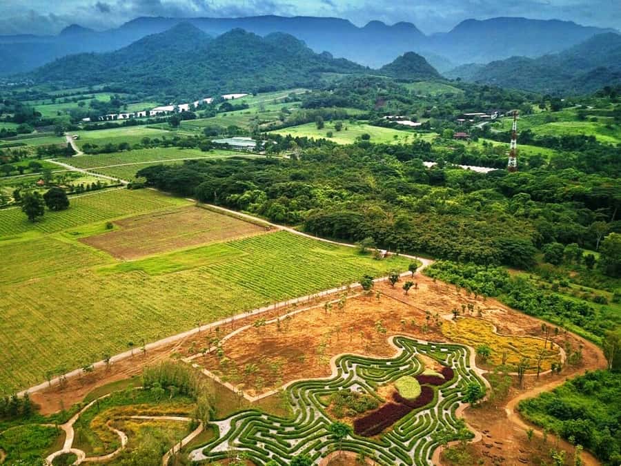 Khao Yai Vineyard Tasting Tour & Horse Farm Visit - Tasting locally made Thai wine
