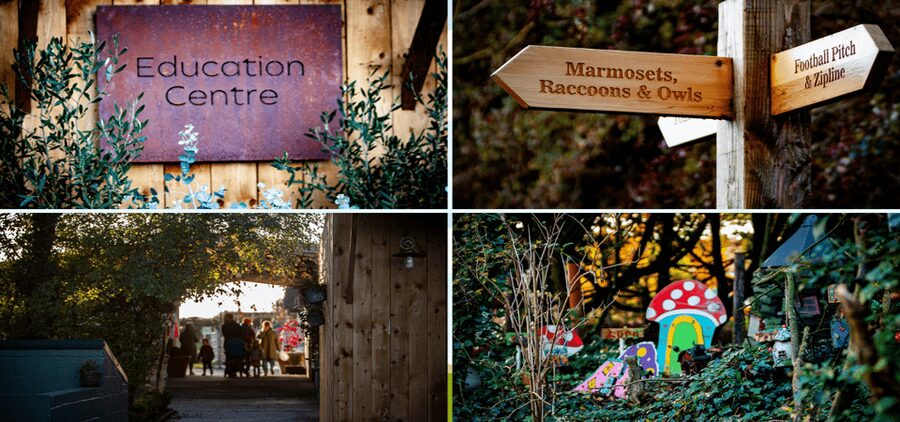 Kildare: Clonfert Farm General Admission Ticket - Key points at a glance