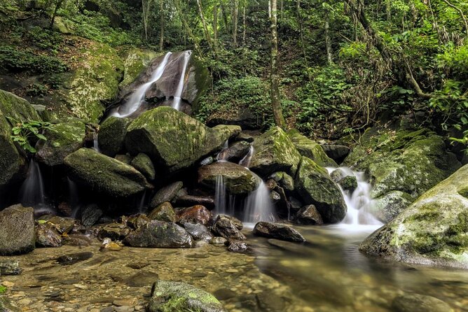 Kinabalu Park & Poring Hot Springs Tour with Desa Dairy Farm - Key points to know before booking