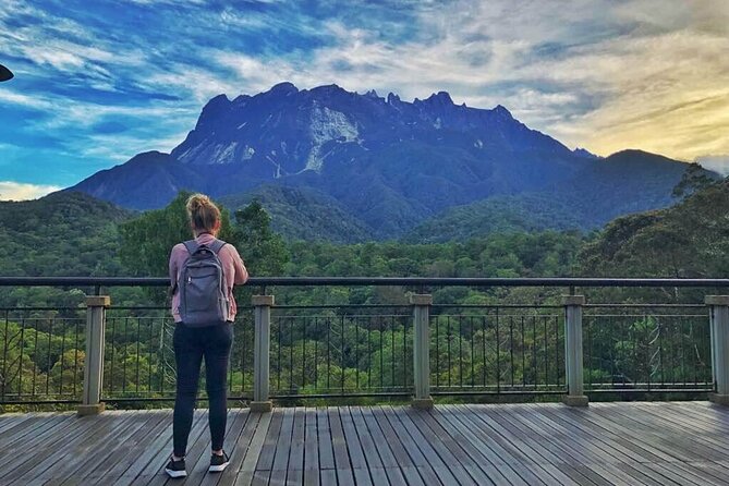 Kinabalu Park & Poring Hot Springs Tour with Desa Dairy Farm - Why this eight-hour Sabah outing works