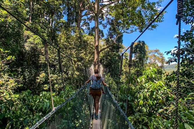 Kinabalu Park & Poring Hot Springs Tour with Desa Dairy Farm - Poring Hot Springs and the Japanese-style tubs