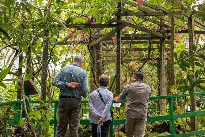 Kinabalu Park Tour with Desa Dairy Farm & Poring Hot Springs - From Kota Kinabalu to Sabah’s mountain country