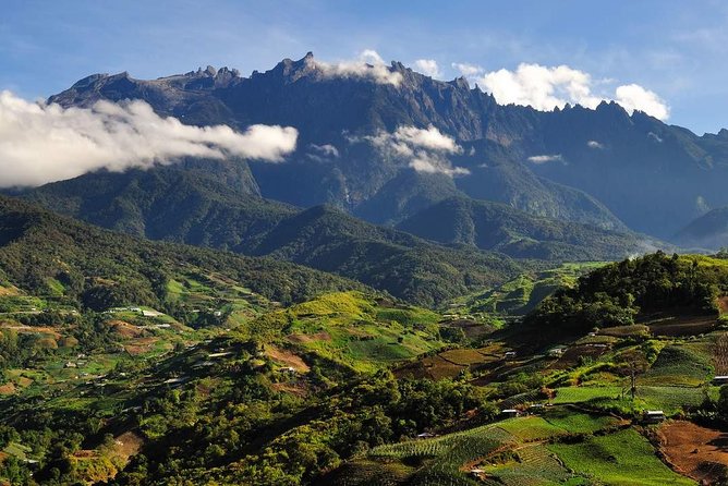 Kinabalu Park Tour with Desa Dairy Farm & Poring Hot Springs - Poring Hot Springs: a slower half hour