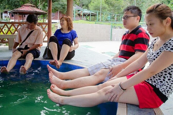 Kinabalu Park Tour with Desa Dairy Farm & Poring Hot Springs - Kinabalu Park and the mountain setting