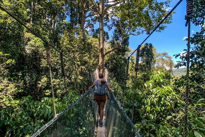 Kinabalu Park Tour with Desa Dairy Farm & Poring Hot Springs - Nabalu Market: a short local stop