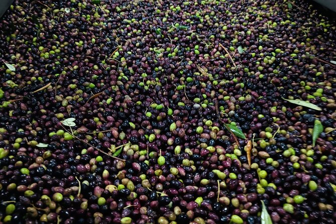 Kleanthi Olive Farm: Guided Tour with Local Delicacies Tasting - The tasting table is the heart of the visit