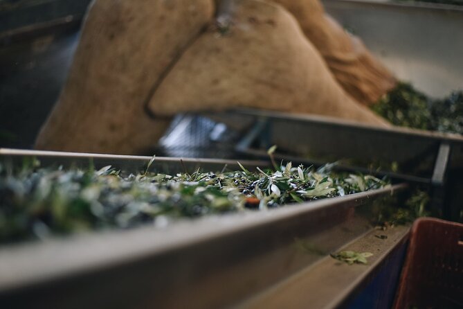Kleanthi Olive Farm: Guided Tour with Local Delicacies Tasting - What makes the family setting different