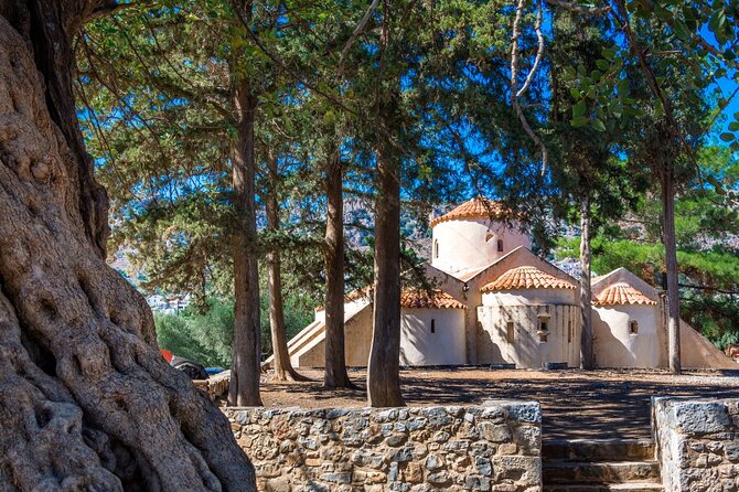 Knossos, Lasithi, Zeus Cave & Olive Mill Farm Combo Tour - Krasi and Crete’s oldest plane tree