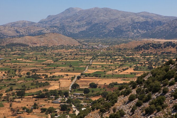 Knossos, Lasithi, Zeus Cave & Olive Mill Farm Combo Tour - The Lyrakis olive mill and a taste of Cretan food