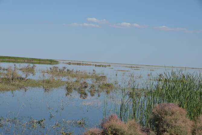 Kolkhoz: Private visit to the cotton farmers' village - Cotton fields from April planting to autumn harvest