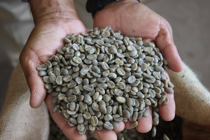 Kona Coffee Farm Tour from Tree to Tasting Room - The shop, the coffee discount, and the real value