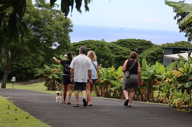 Kona Coffee Farm Tour from Tree to Tasting Room - What the small scale means for your visit