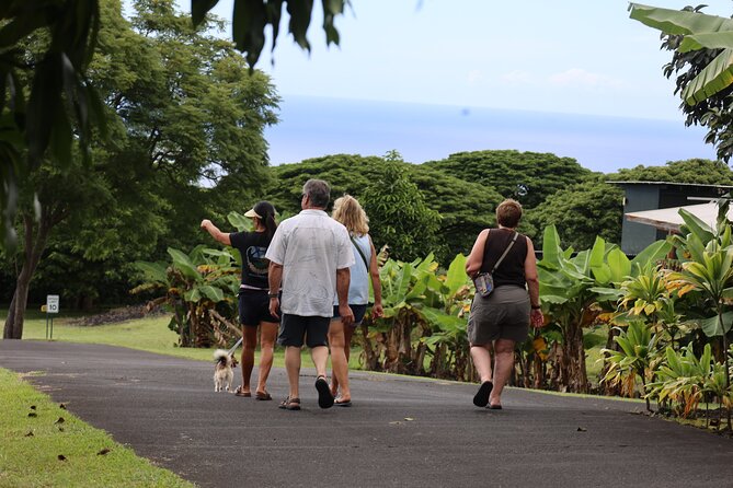 Kona Coffee Farm Tour from Tree to Tasting Room - Who will enjoy Bay View Farm most