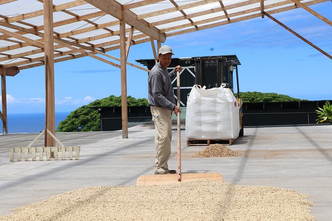 Kona Coffee Farm Tour from Tree to Tasting Room - Beginning beneath the coffee trees