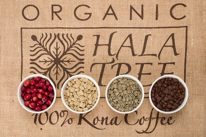 Kona Coffee Tasting: A Farm to Cup Experience - Ocean views and the setting