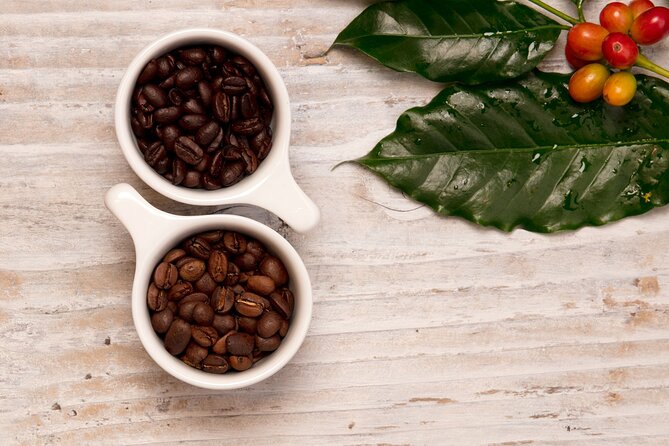 Kona Coffee Tasting: A Farm to Cup Experience - Is the $10 price good value?