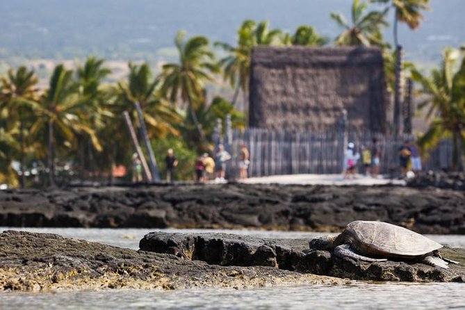 Kona Tour: Bee Farm, Kona Coffee, and National Historical Parks - Puuhonua o Honaunau and the meaning of refuge