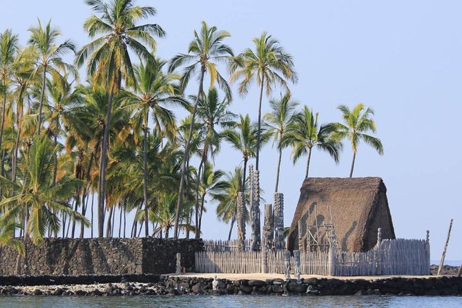 Kona Tour: Bee Farm, Kona Coffee, and National Historical Parks - Why the guides matter so much