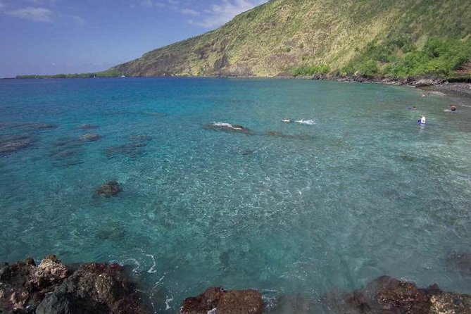 Kona Tour: Bee Farm, Kona Coffee, and National Historical Parks - Is the $198.17 price fair?