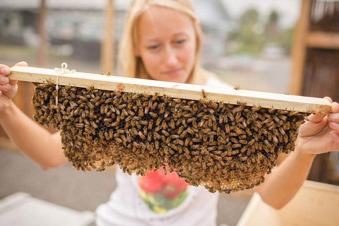 Kona Tour: Bee Farm, Kona Coffee, and National Historical Parks - Kona landmarks and the story of Kealakekua Bay