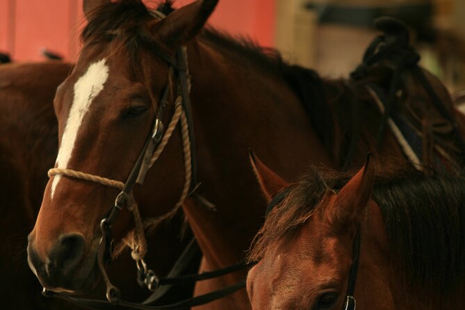 Kualoa Ranch - Horseback Walking Tour - Getting there without losing your reservation