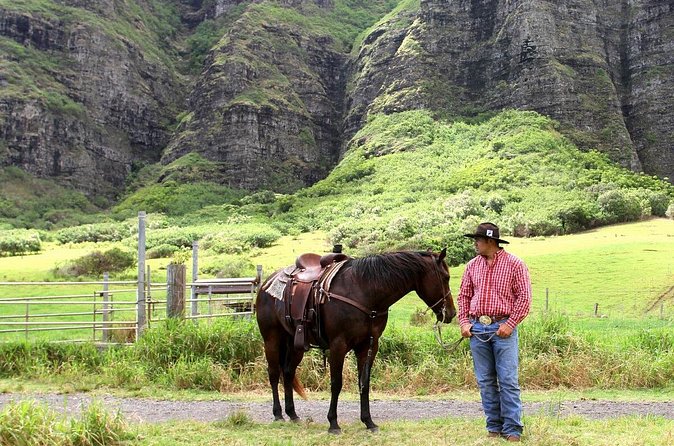 Kualoa Ranch - Horseback Walking Tour - Should you book Kualoa Ranch’s horseback tour?