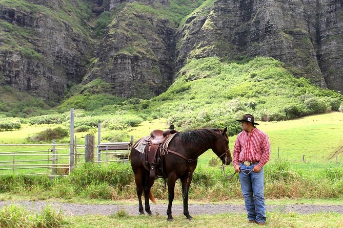 Kualoa Ranch - Horseback Walking Tour - Is $173.74 a fair price?
