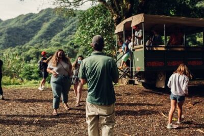 Kualoa Ranch: Jungle Expedition Tour