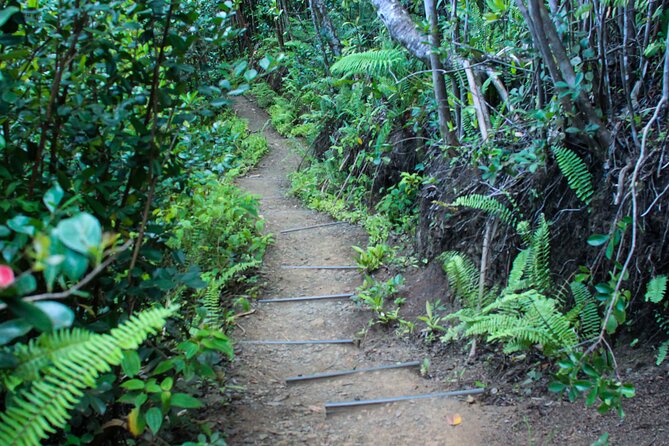 Kualoa Ranch: Jungle Expedition Tour - Is $67.24 a fair price?