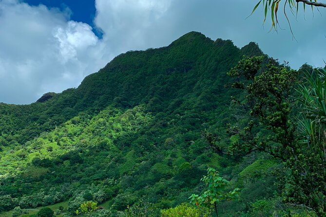 Kualoa Ranch: Jungle Expedition Tour - Weather, comfort, and cancellation rules
